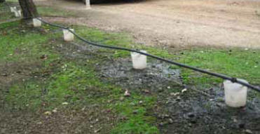 Drip Test
